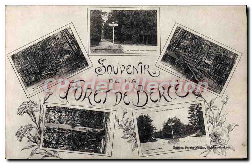 CPA Foret De Bercey souvenir