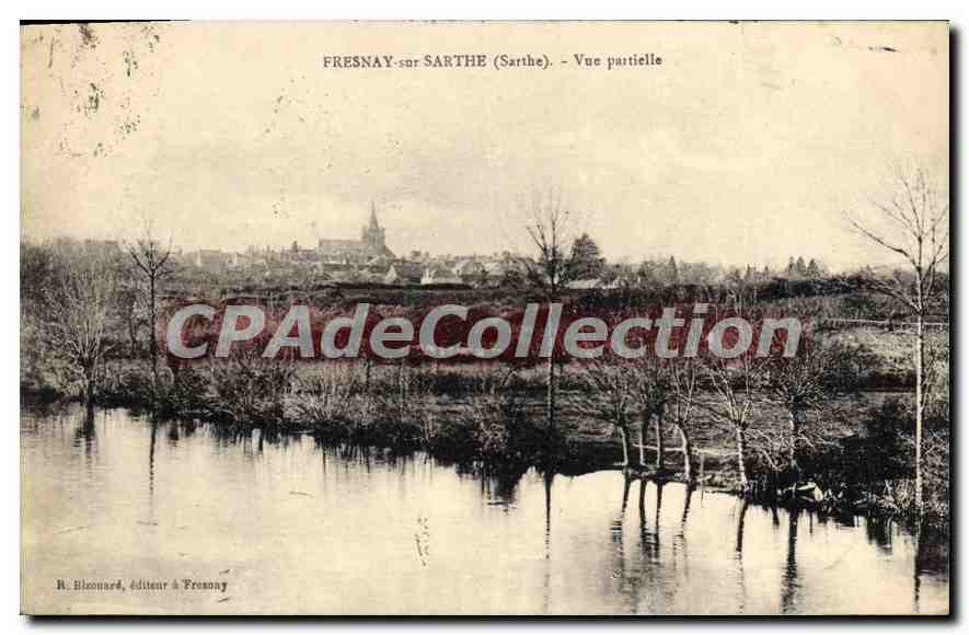 CPA Fresnay Sur Sarthe Vue Partielle