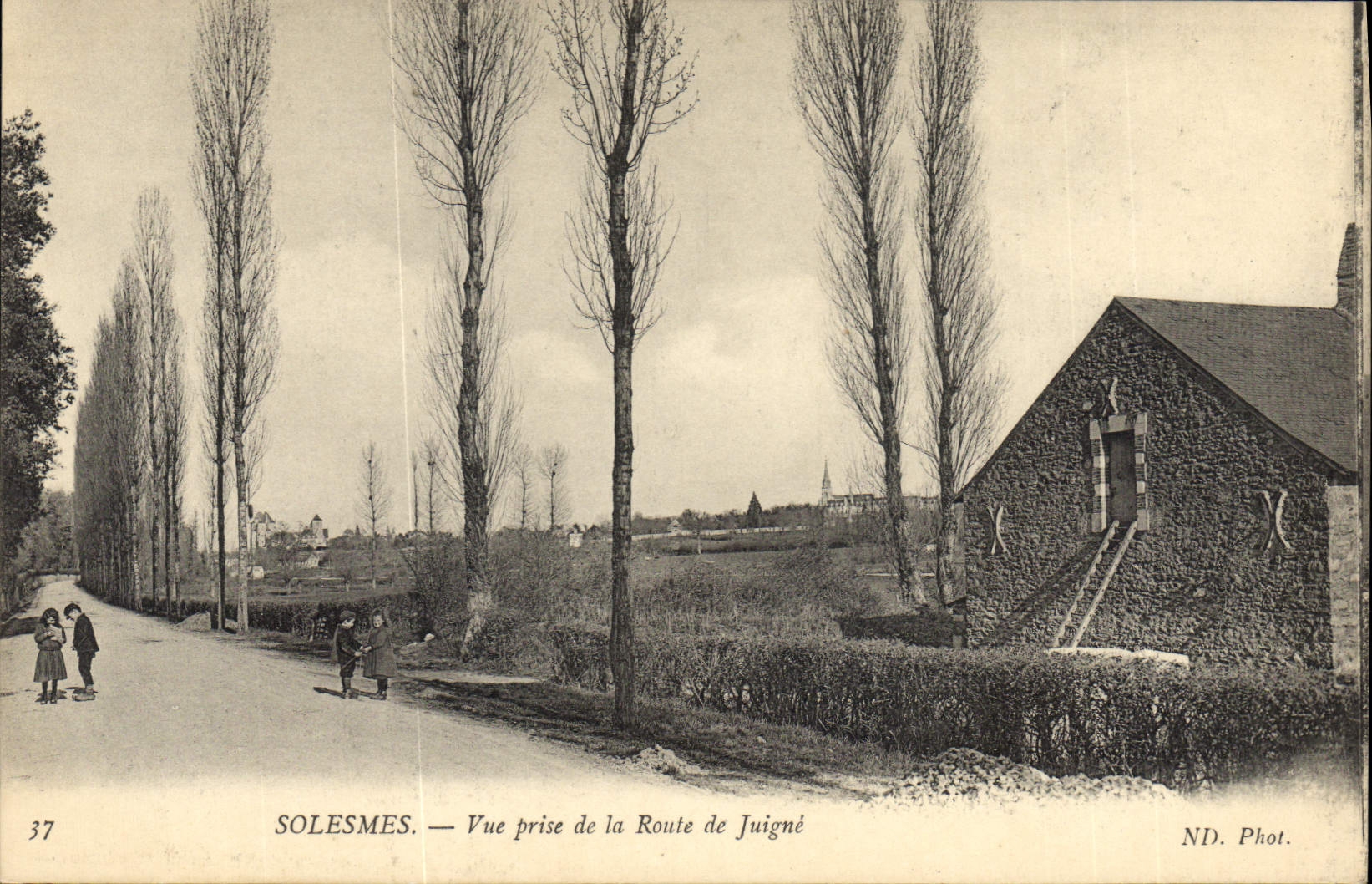 CPA Solesmes Vue Prise De La Route De Juigné