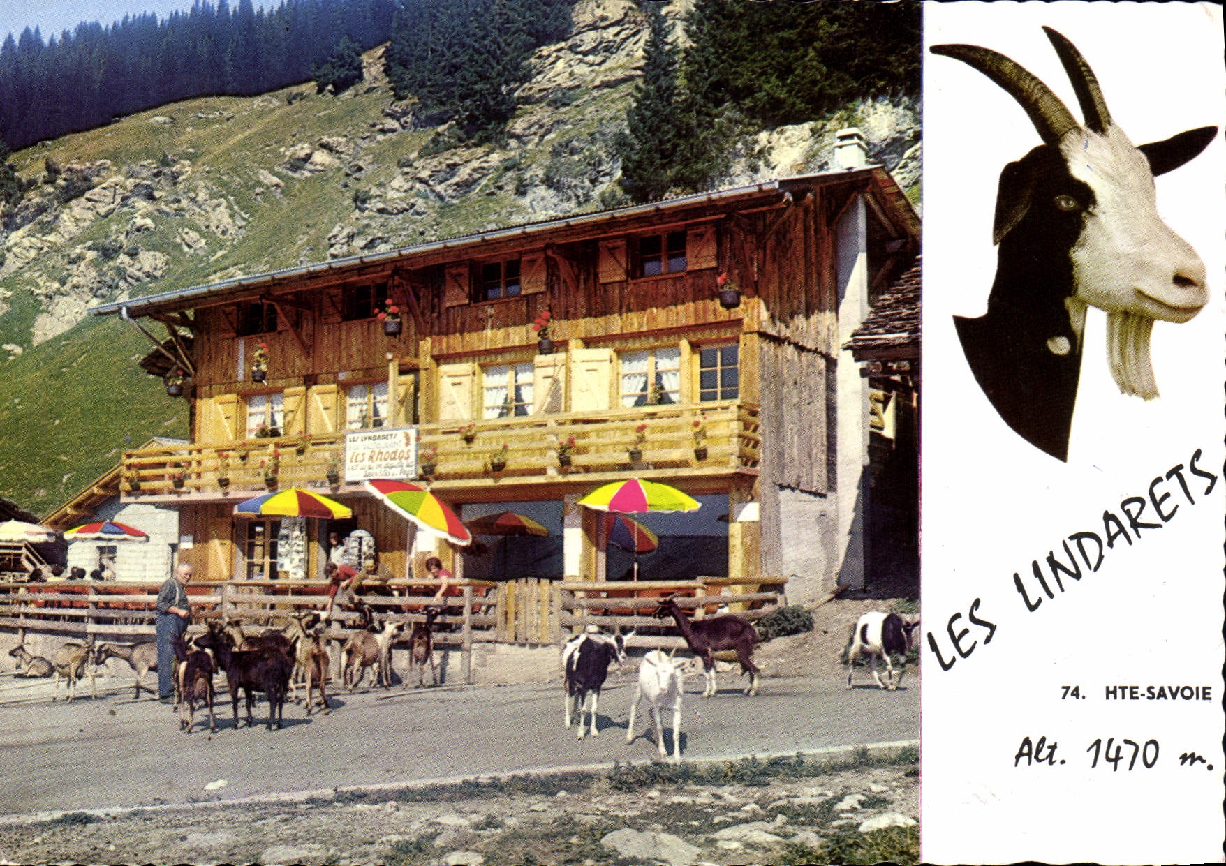 Les Lindarets — Alt. 1470 m. — Combière Imprimeur Morzine