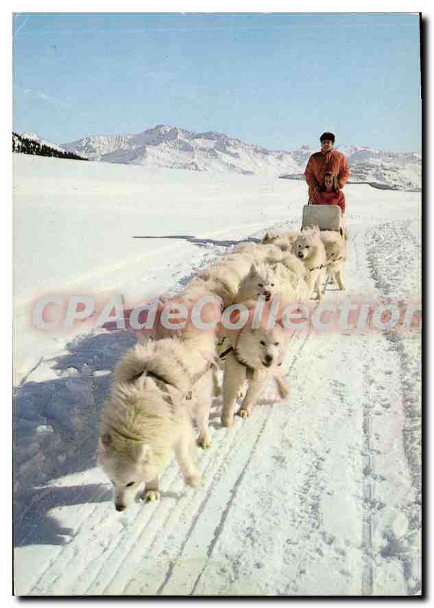 Sleddog-Team des großen Nordens in unseren Bergen — Grenoble, Serie PH 97