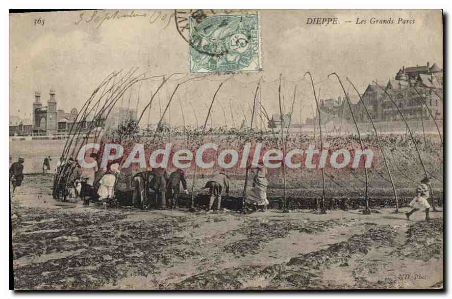 Dieppe — Les Grands Parcs — MD. Phot