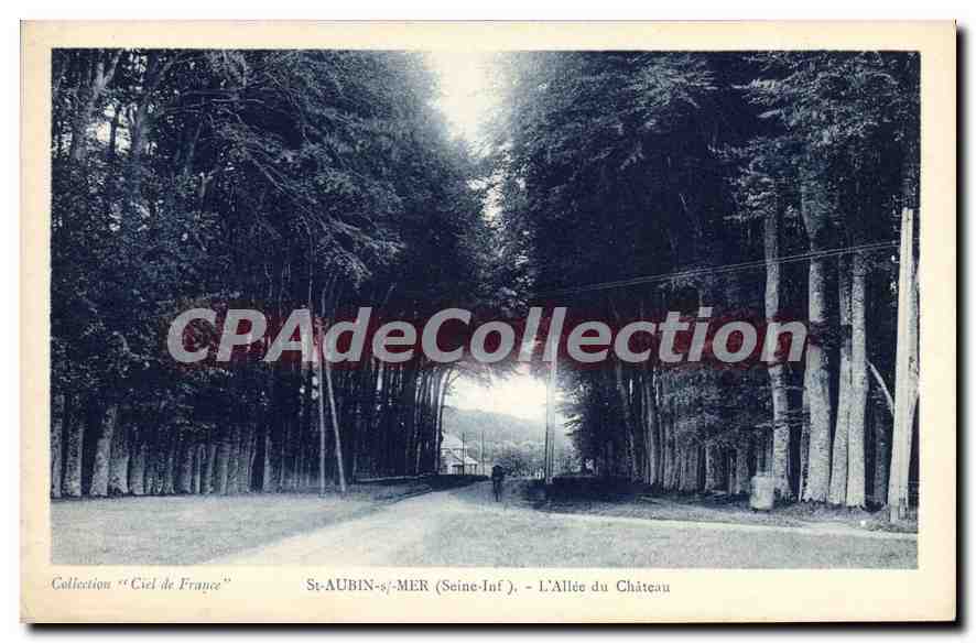 CPA Saint Aubin Sur Mer L'Allee Du Château