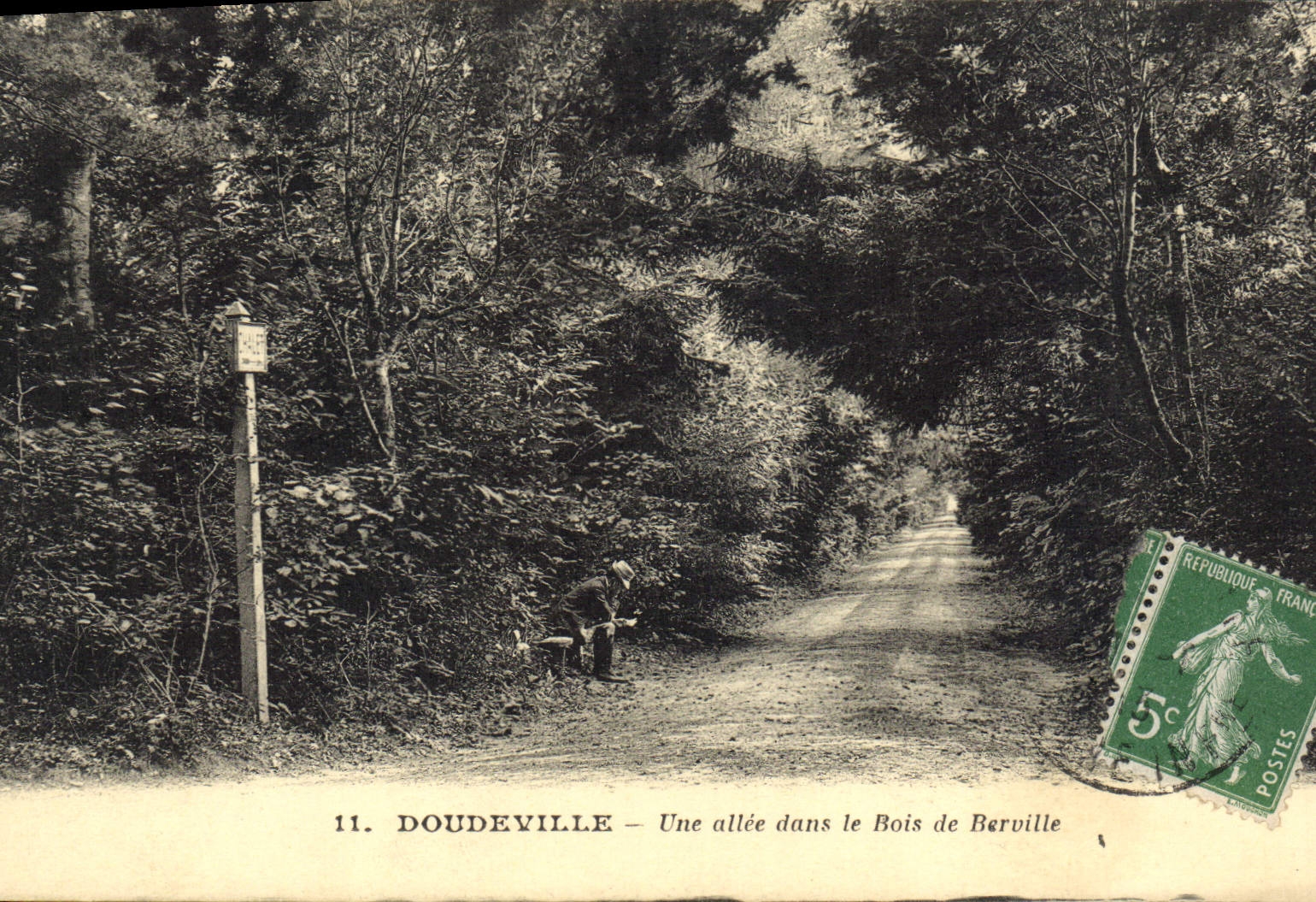 CPA Doudeville Une Allee Dans Le Bois De Berville