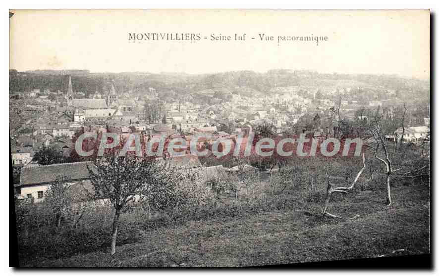 CPA Montivilliers Seine Vue Panoramique