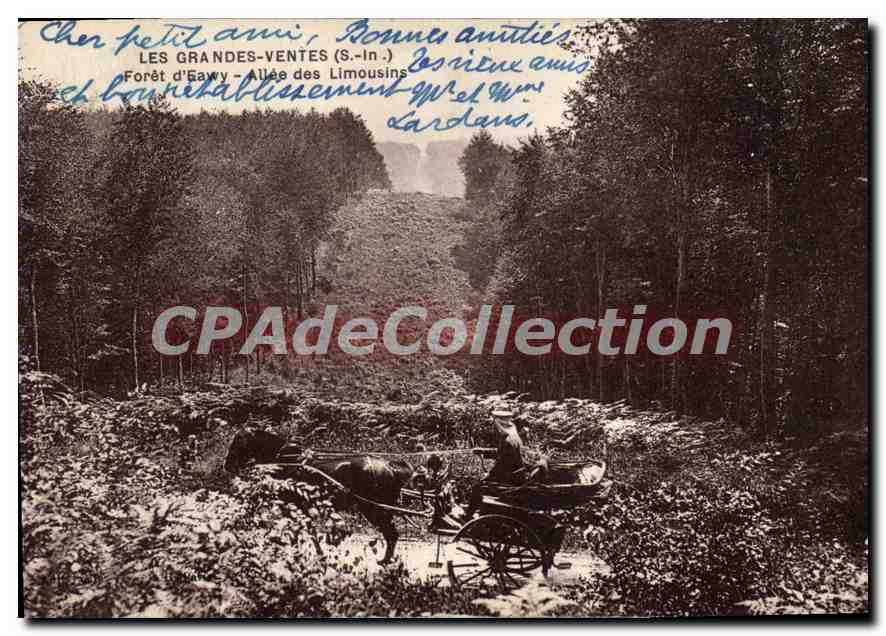 CPA Les Grandes Ventes Foret D'Eawy Allee Des Limousins