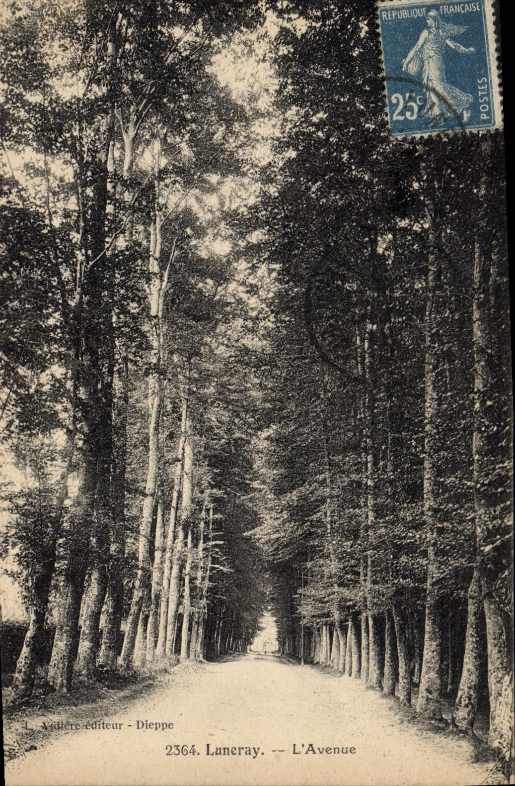 CPA Luneray L'Avenue