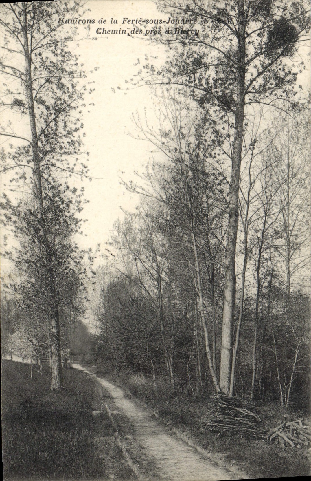Lauviroins van La Ferté-sous-Jouarre — Pad door de weiden naar Biercy — Edit. Duhurecq