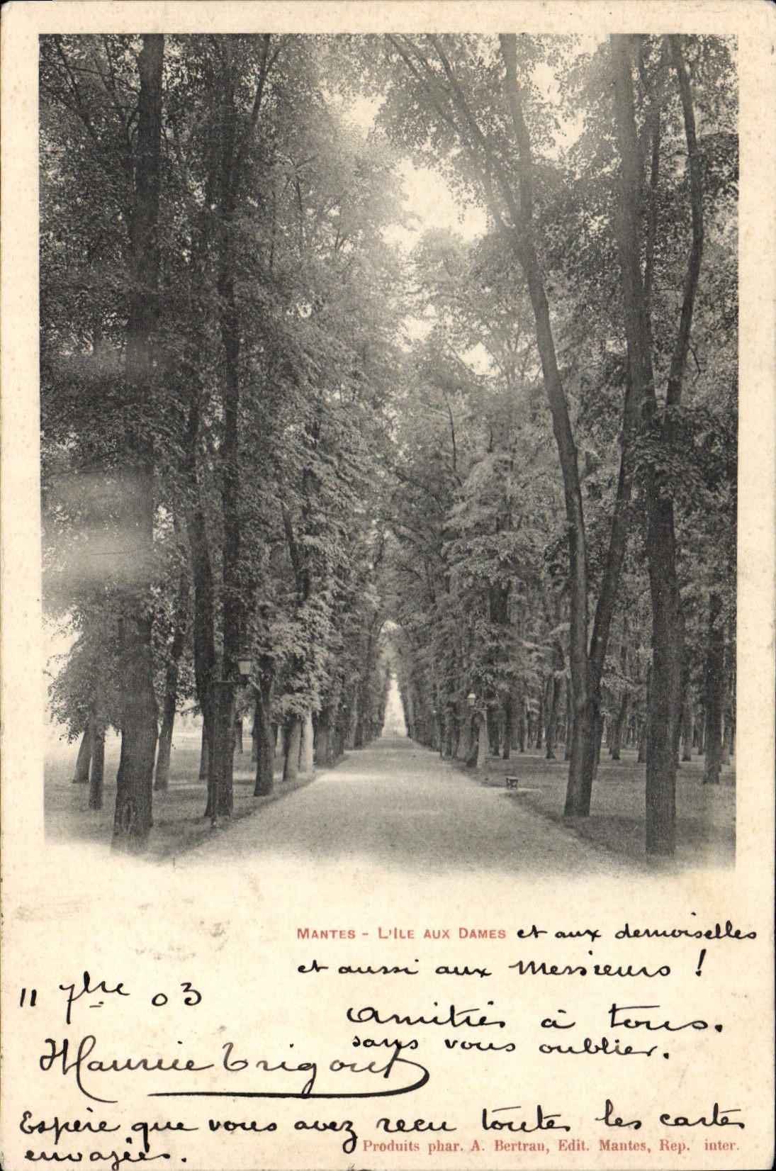 Mantes - L'Île aux Dames — allée arborée — Produits phar. A. Bertran, Edit. Mantes, Rep. inter.