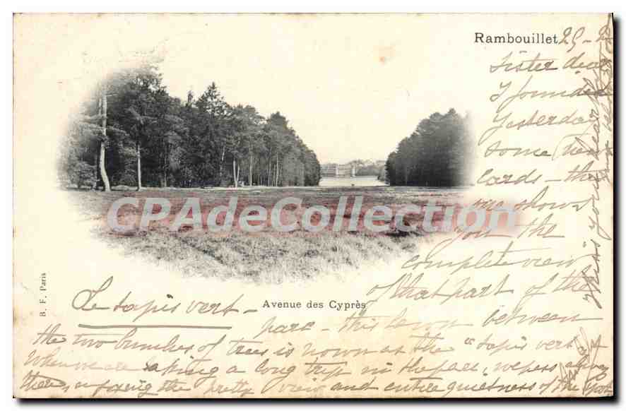 Avenue des Cyprès — Rambouillet — B. F. Peria