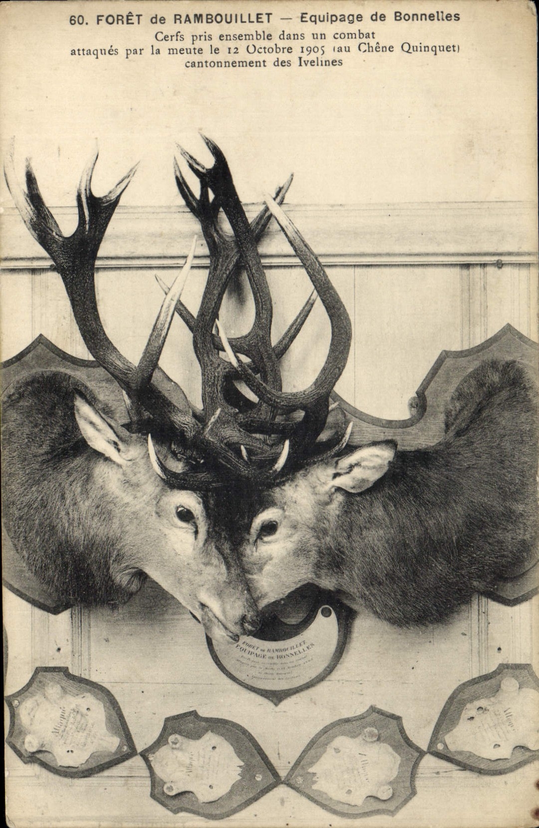 Forêt de Rambouillet — Equipage de Bonnelles — Lagrange, n°78