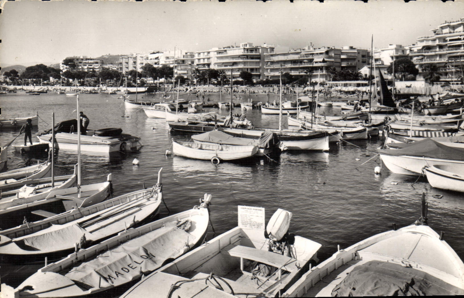 CPA Cannes Le Nouveau Port Du Palm Beach