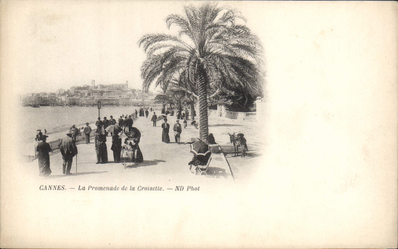 CANNES — La Promenade de la Croisette — ND Phot