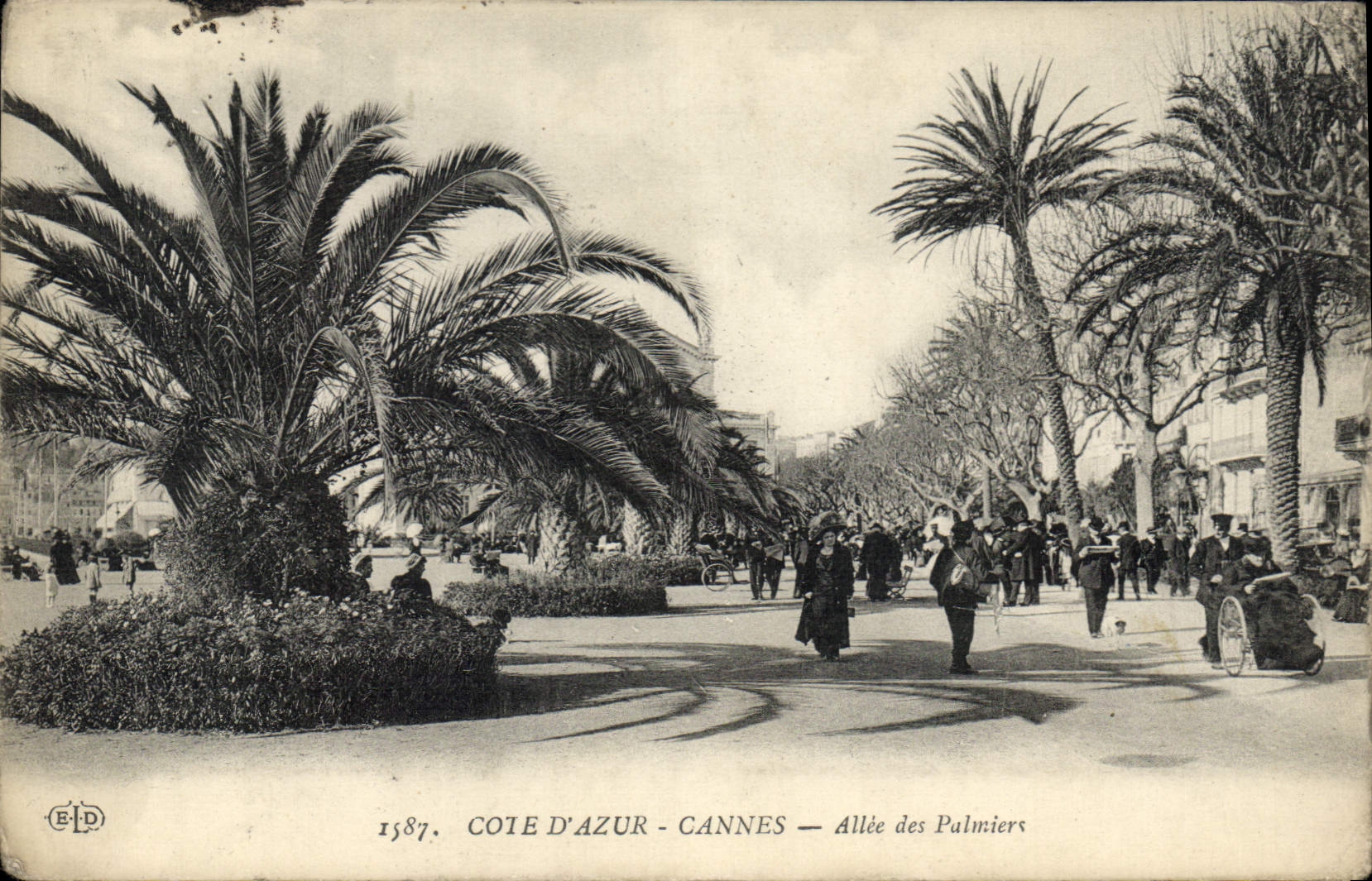 Côte d'Azur - Cannes — Allée des Palmiers — Éditeur EID, n° 1587