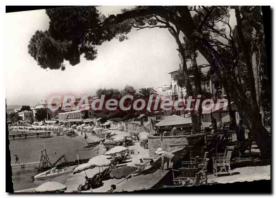 CPSM Juan Les Pins Terrasse Du Casino Vues De la Pinede