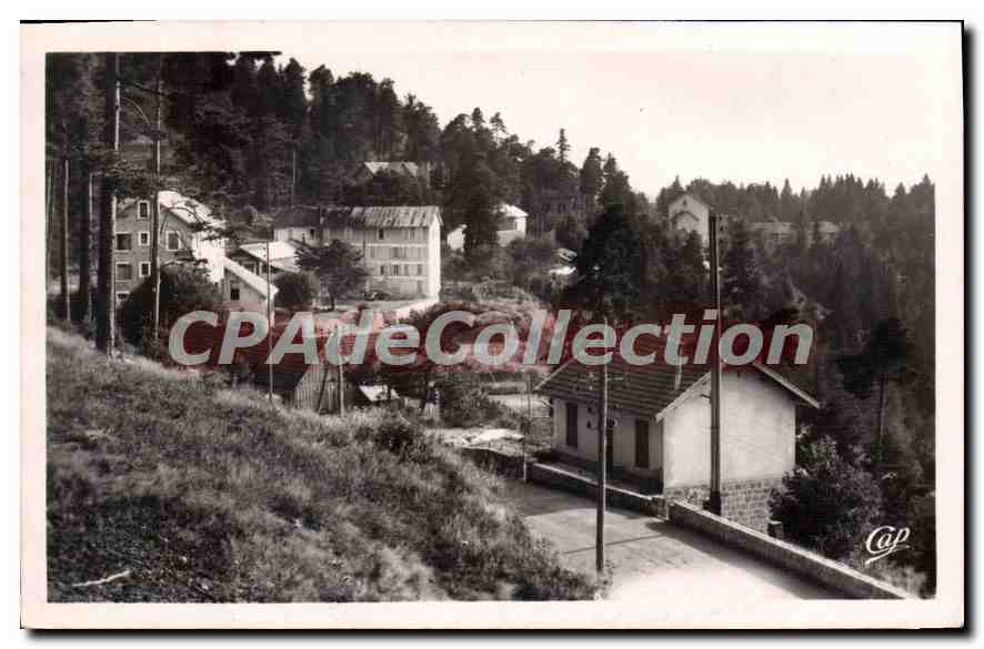 CPA Peira Cava Les Hotels Et La Foret