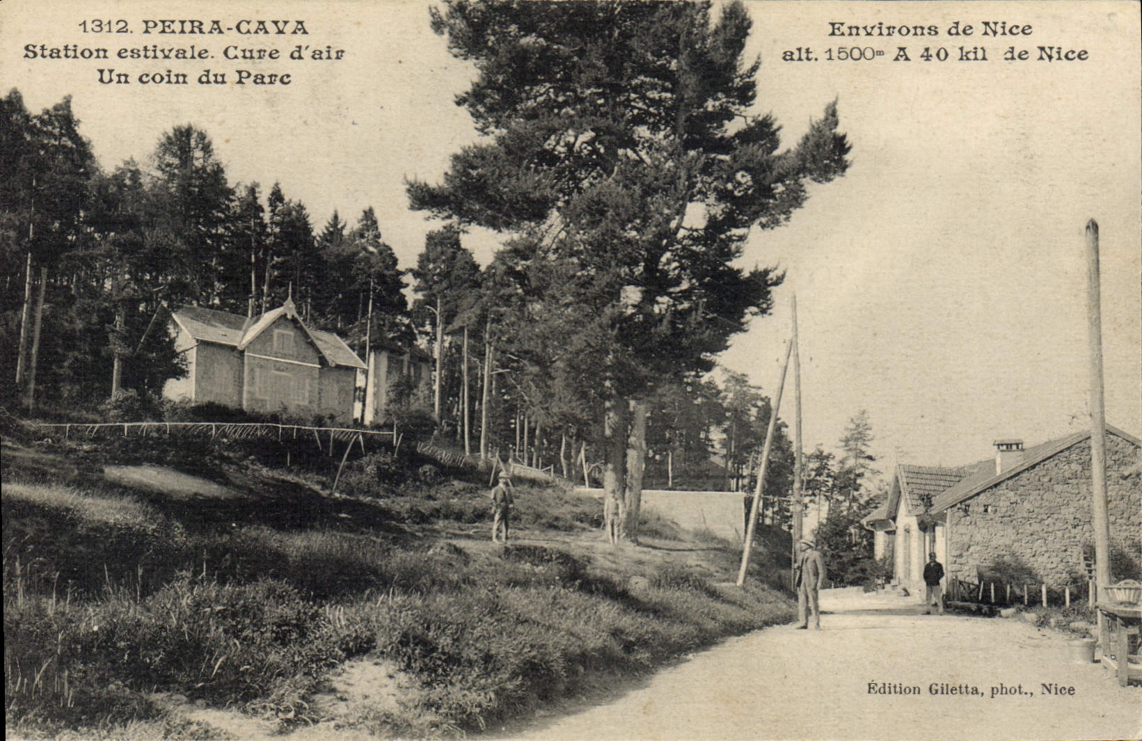 Peira-Cava — Station estivale. Cure d'air. Un coin du Parc — Édition Giletta, phot., Nice