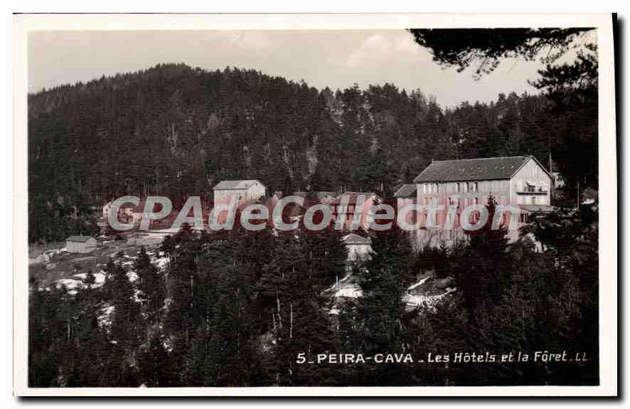CPA Peira Cava Les Hotels Et La Foret