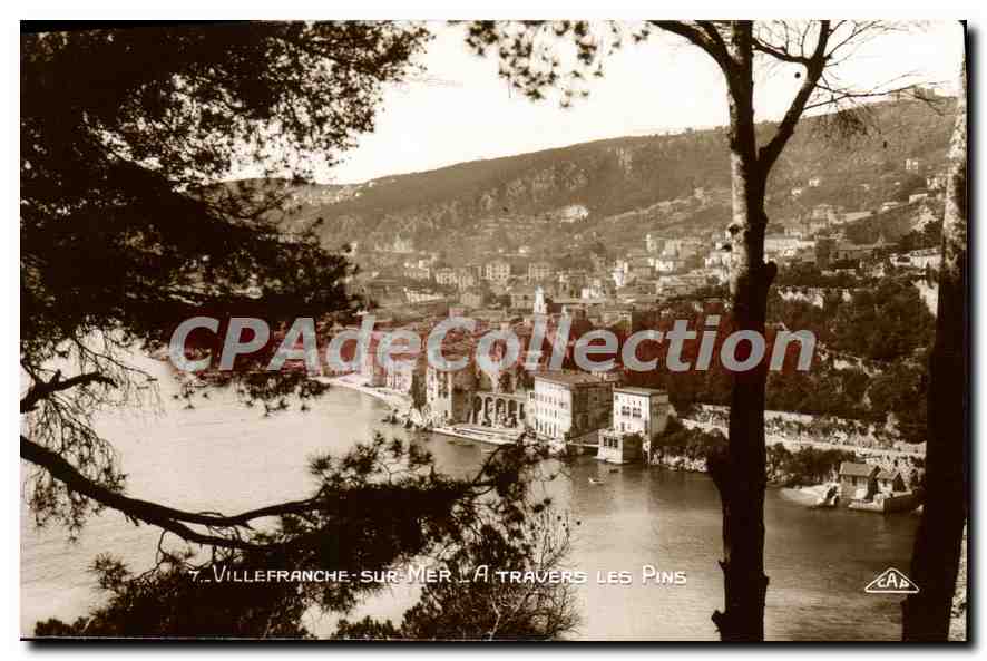 Villefranche-sur-Mer — A travers les Pins — CPA P. A. P. Strasbourg