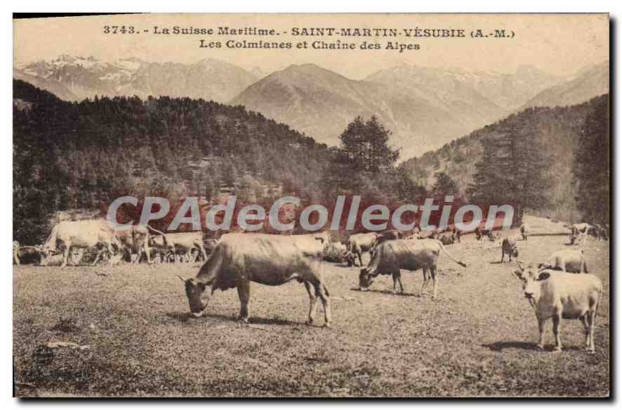 Saint-Martin-Vésubie (A.M.) — Les Colmianes et Chaîne des Alpes — La Suisse Maritime — n°3743