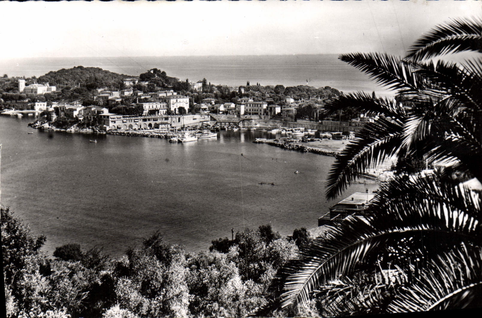 St Jean Cap Ferrat — vue du port — éditeur M.A. Bézard, V 86