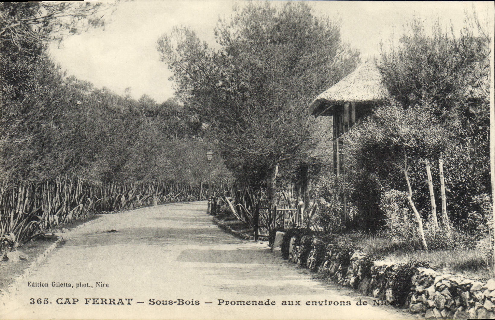 CAP FERRAT — Sous-Bois — Promenade aux environs de Nice