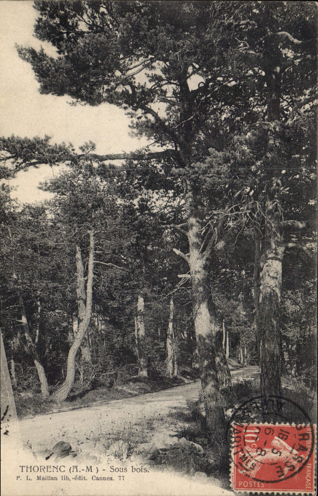 CPA THORENC sous-bois