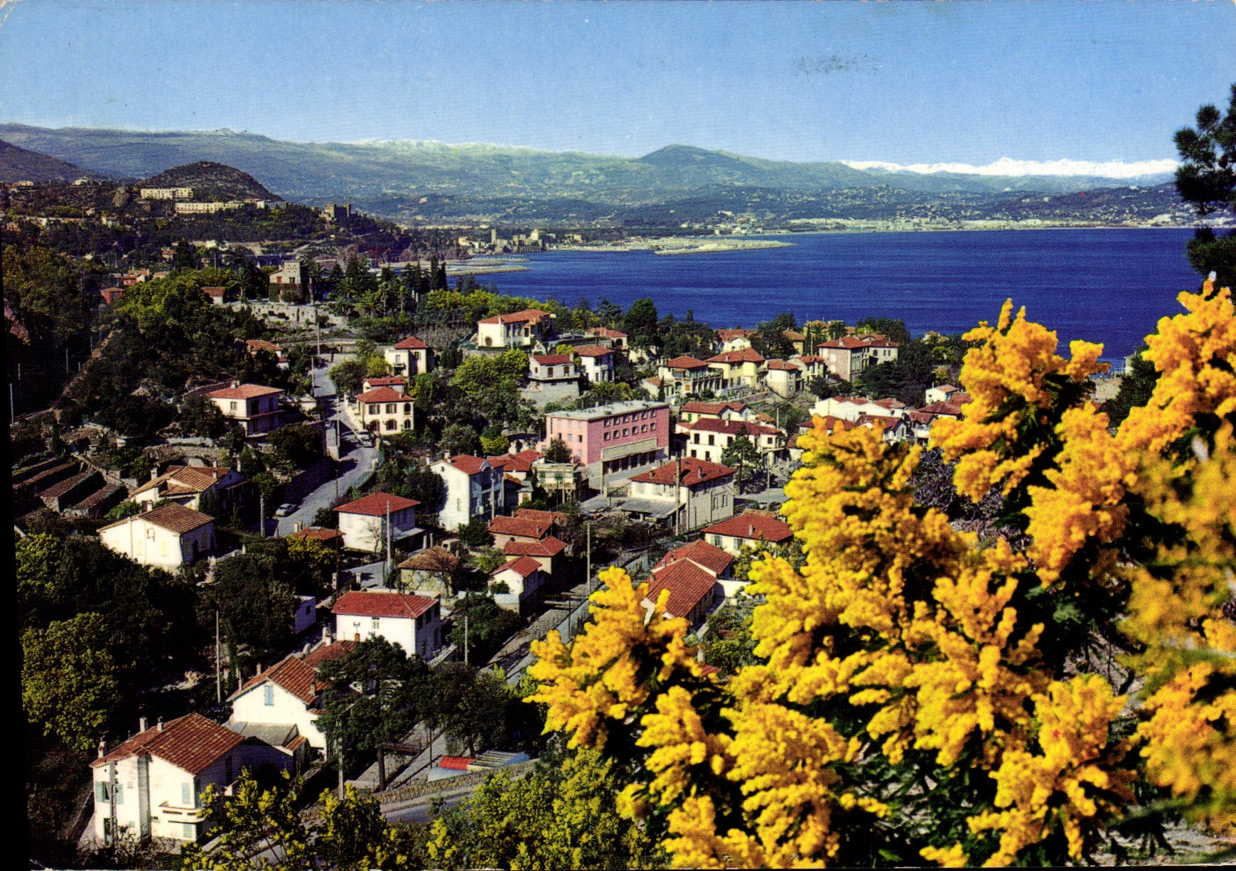 CPSM THEOULE-sur-MER vue générale