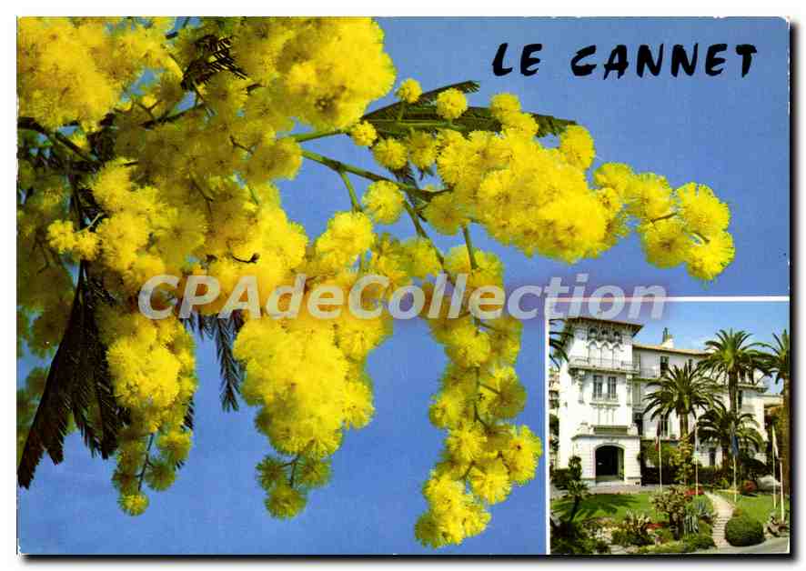 CPSM LE CANNET hôtel de ville