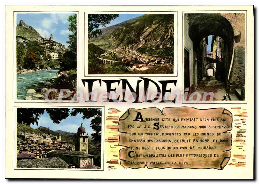 CPSM TENDE