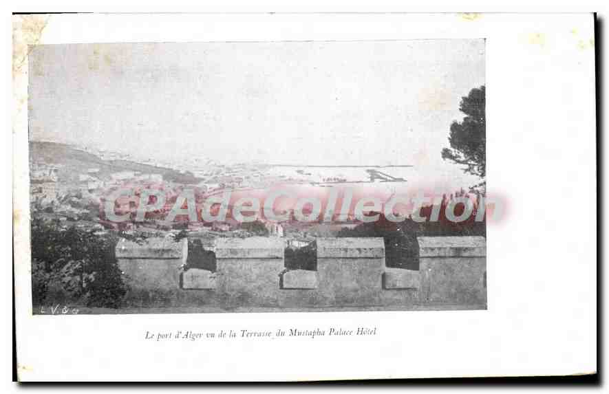 CPA ALGER le port vu du Mustapha palace hôtel