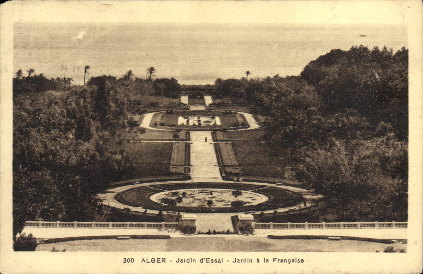 Algéro - Jardin d'Essai - Jardin à la Française — éditeur inconnu, n° 300