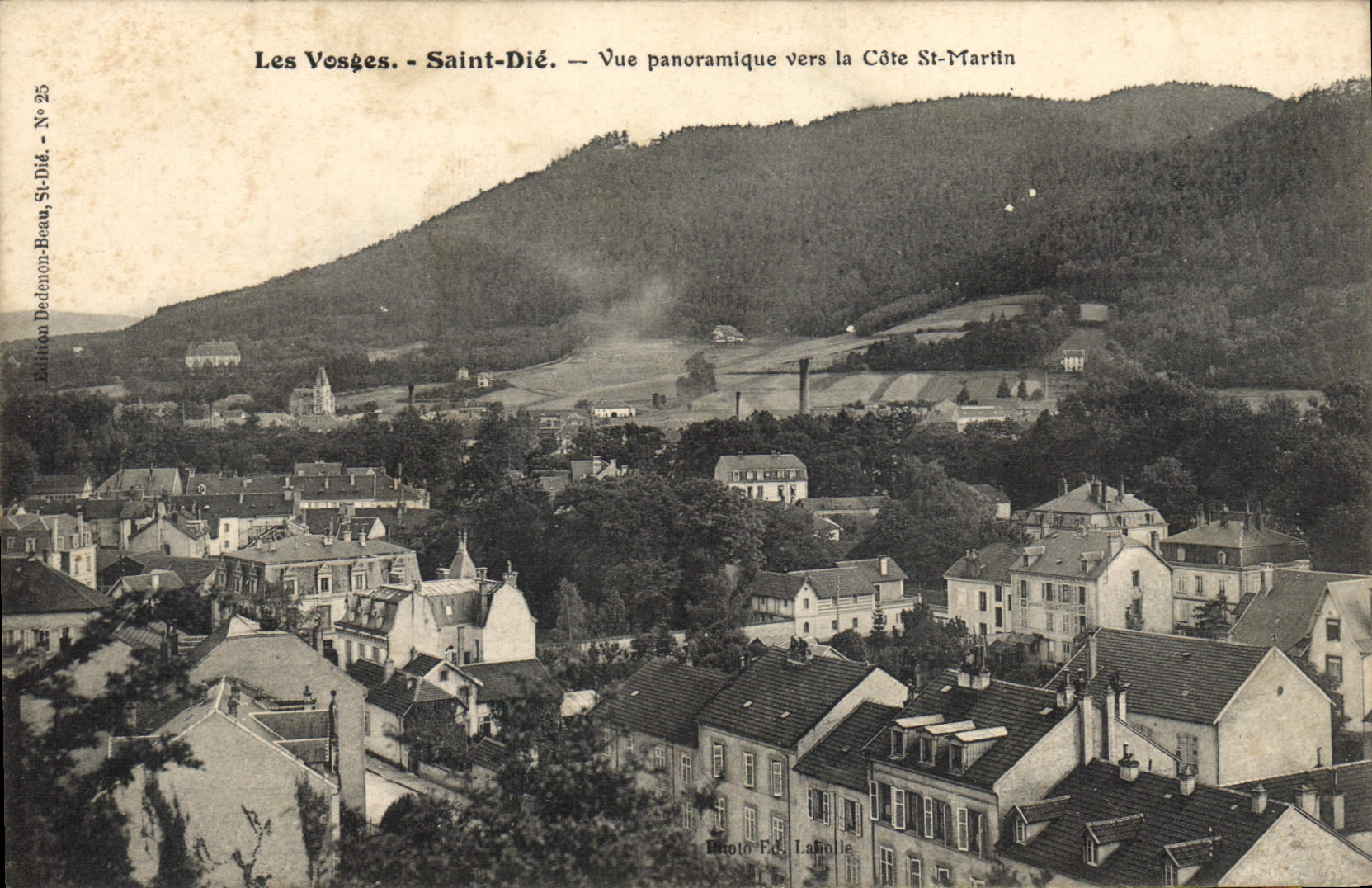CPA Saint Die Vue Panoramique Vers La Cote St Martin