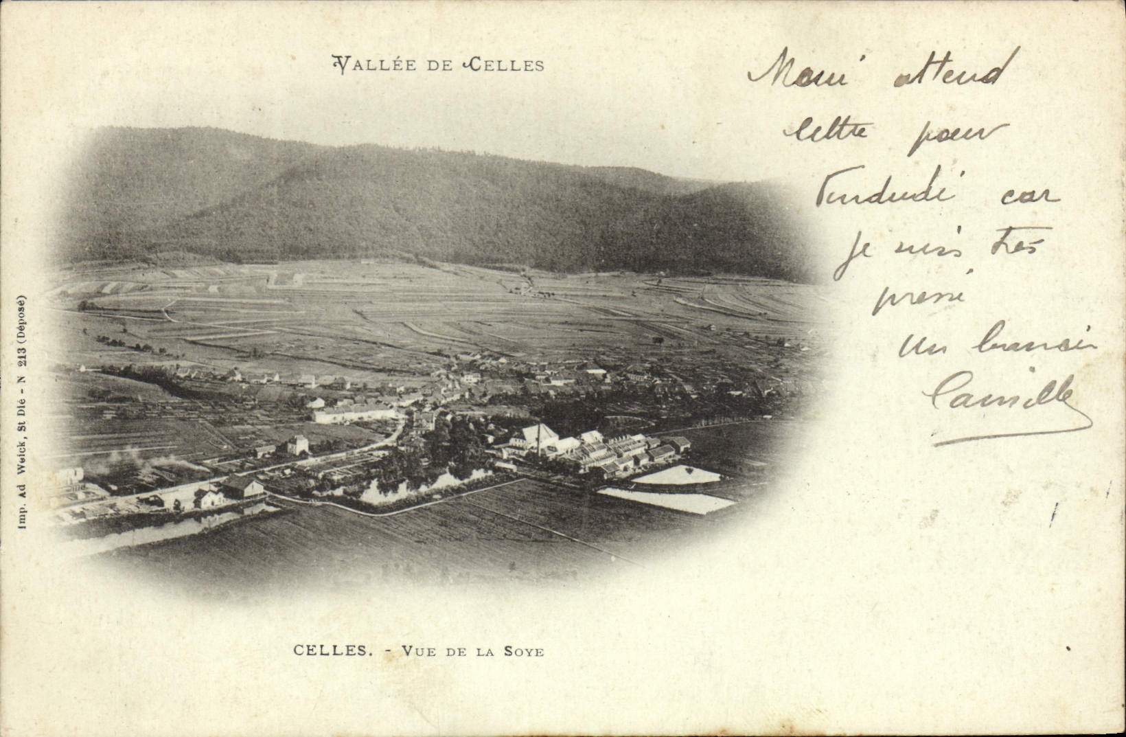 CPA CELLES Vallee De Celles Vue De La Soye