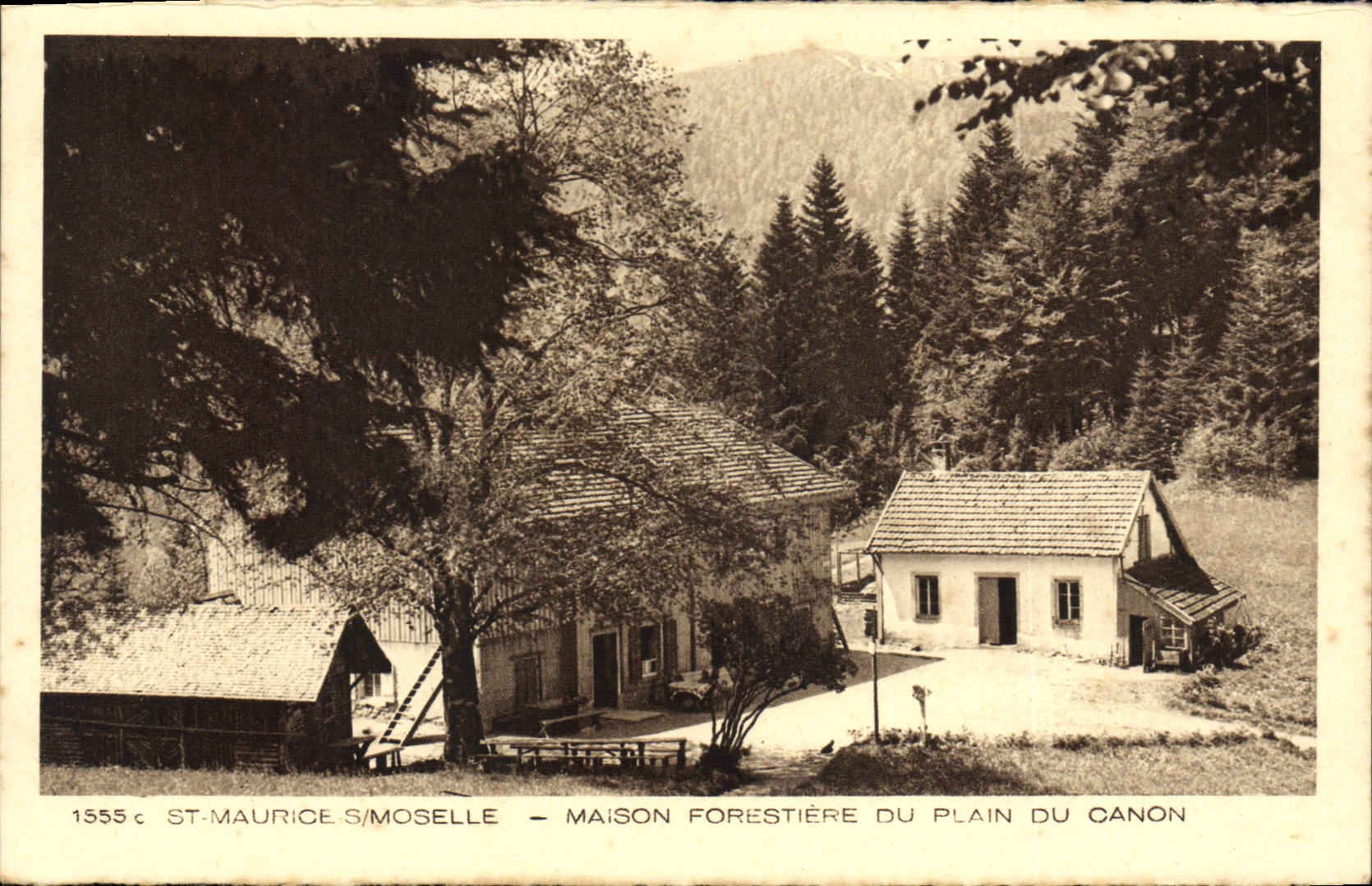 CPA Saint Maurice Sur Moselle Maison Forestiere Du Plain Du Canon