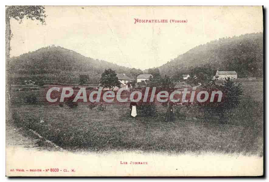 Les Jumaux (Nompateлизе) — Vosges — Ad. Welsk, N° 8609, CL. M.