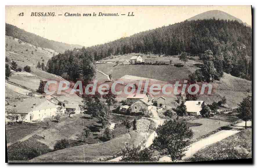 Bussang — Chemin vers le Drumont — LL