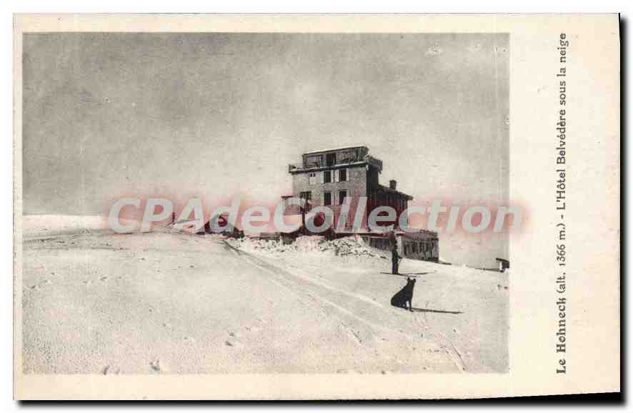 CPA Le Hohneck L'Hotel Belvedere Sous La Neige