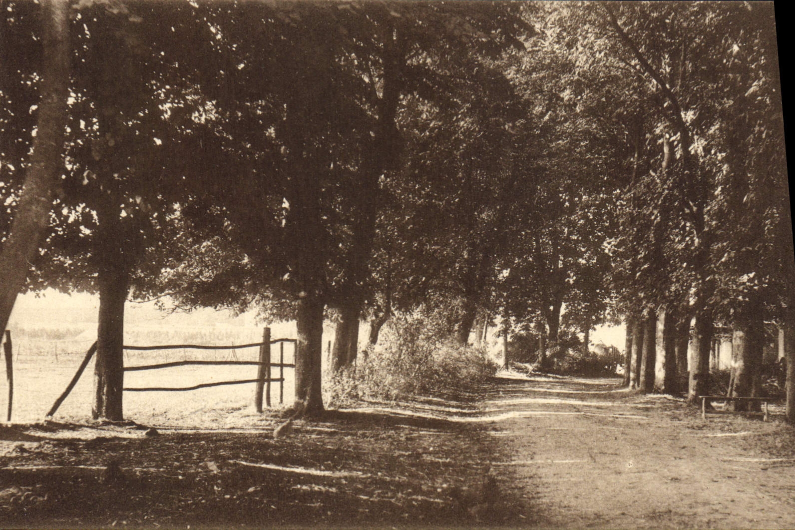 CPA Evry Notre Dame De Sion Grandbourg allée des marronniers