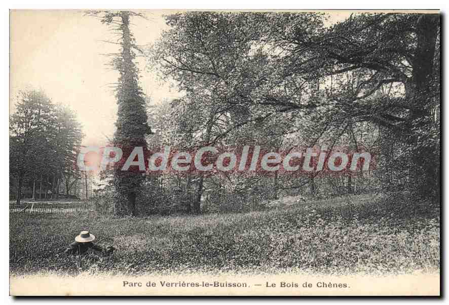 CPA Parc De Verrieres Le Buisson Le Bois De Chenes
