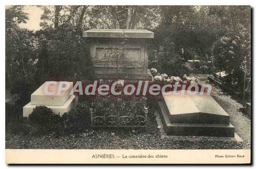 CPA Asnieres Le Cimetiere Des Chiens