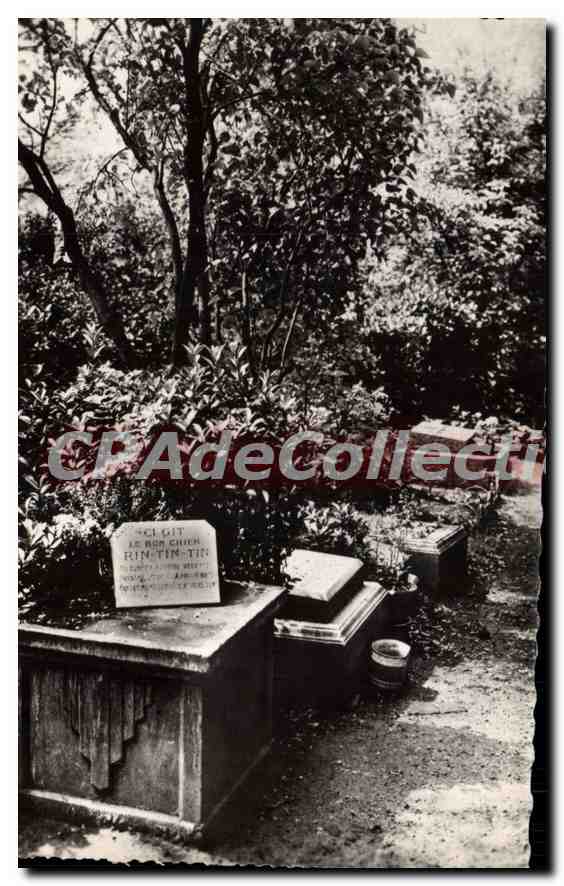 CPA Asnieres Le Cimetiere Des Chiens Le Monument De Rin-Tin-Tin