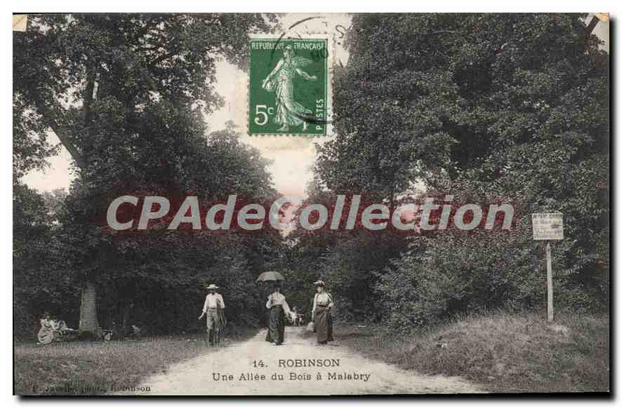 CPA Robinson Une Allee Du Bois A Malabry