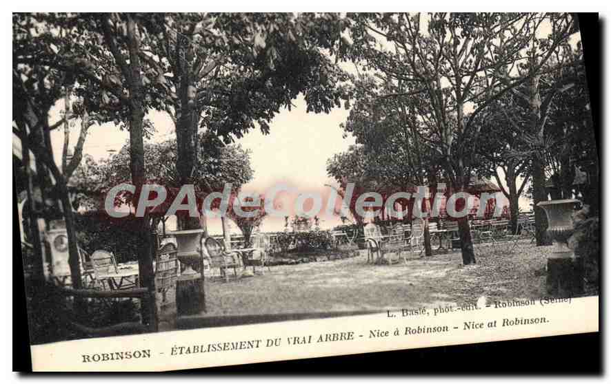 CPA Robinson Etablissement Du Vrai Arbre Nice à Robinson