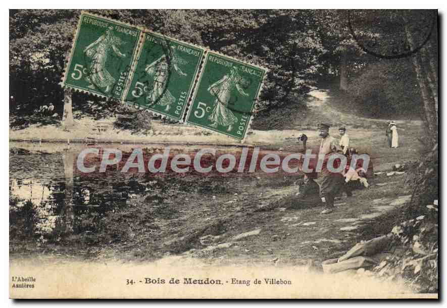 CPA Bois De Meudon Etang De Villebon