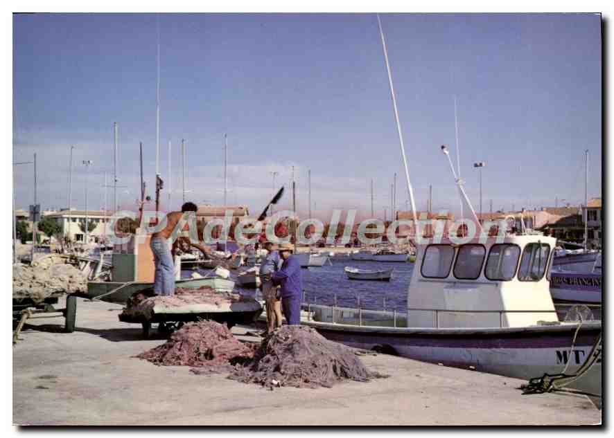 CPSM Carro Le Port De Peche