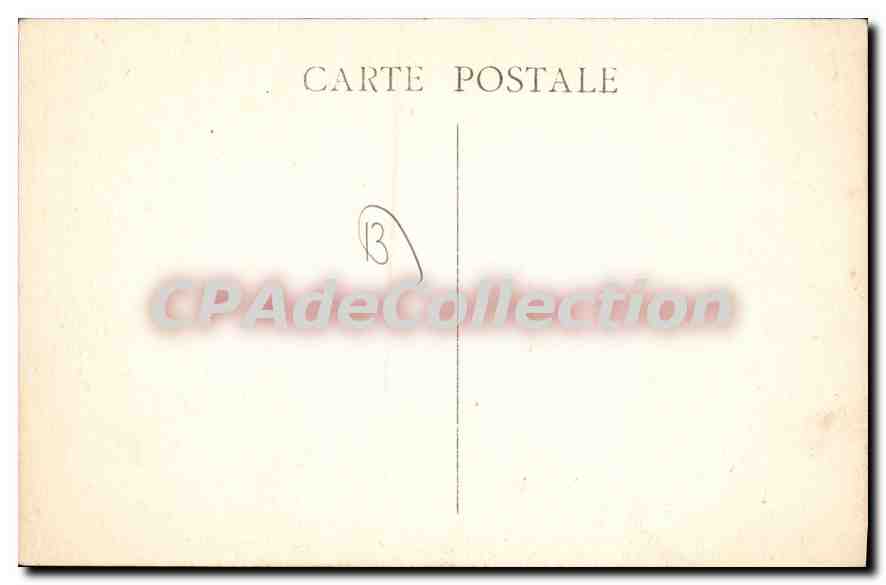 CPA Marseille Museum Histoire Naturelle mammifères collection paléontologique — Verso