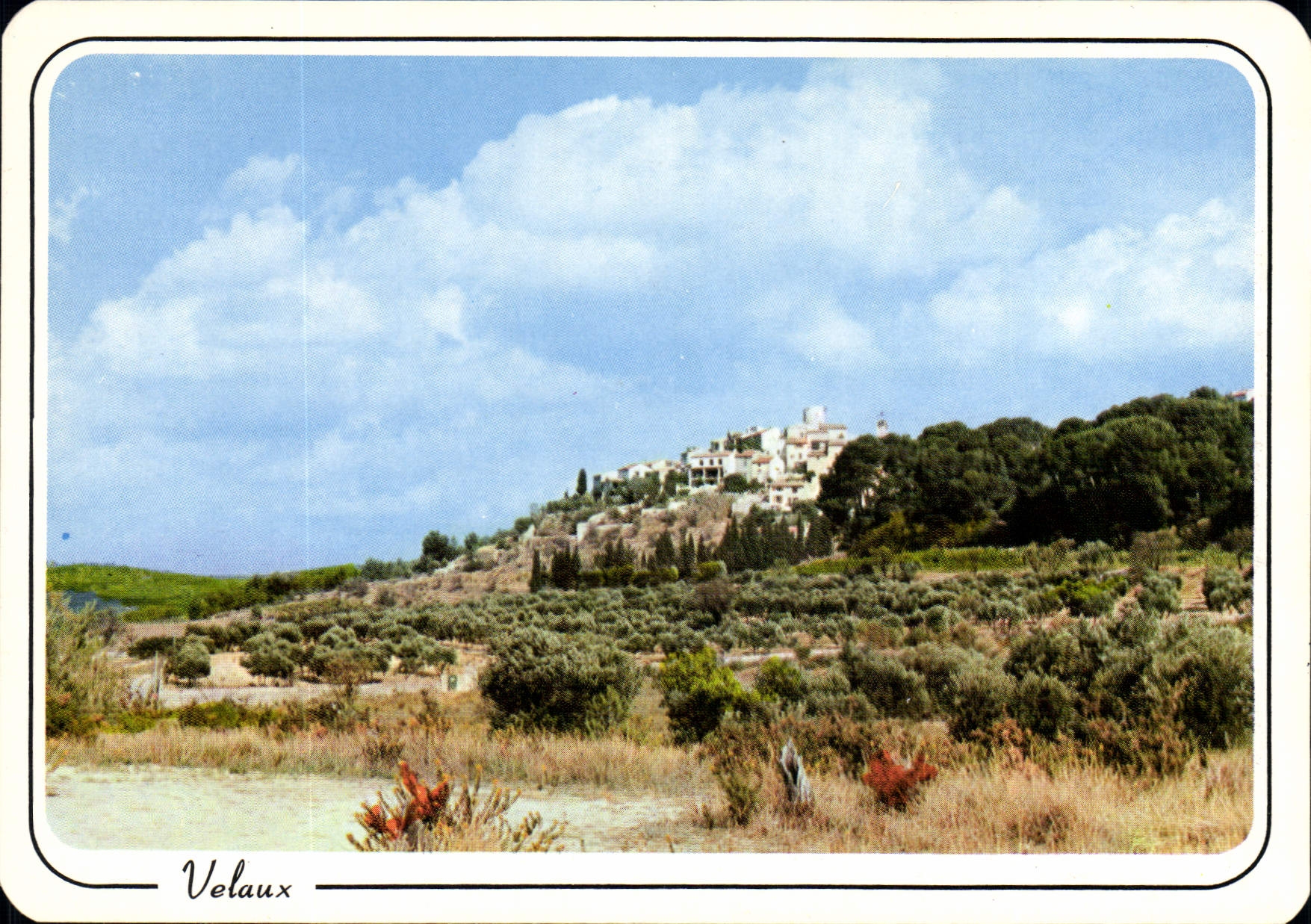 CPSM Velaux Village