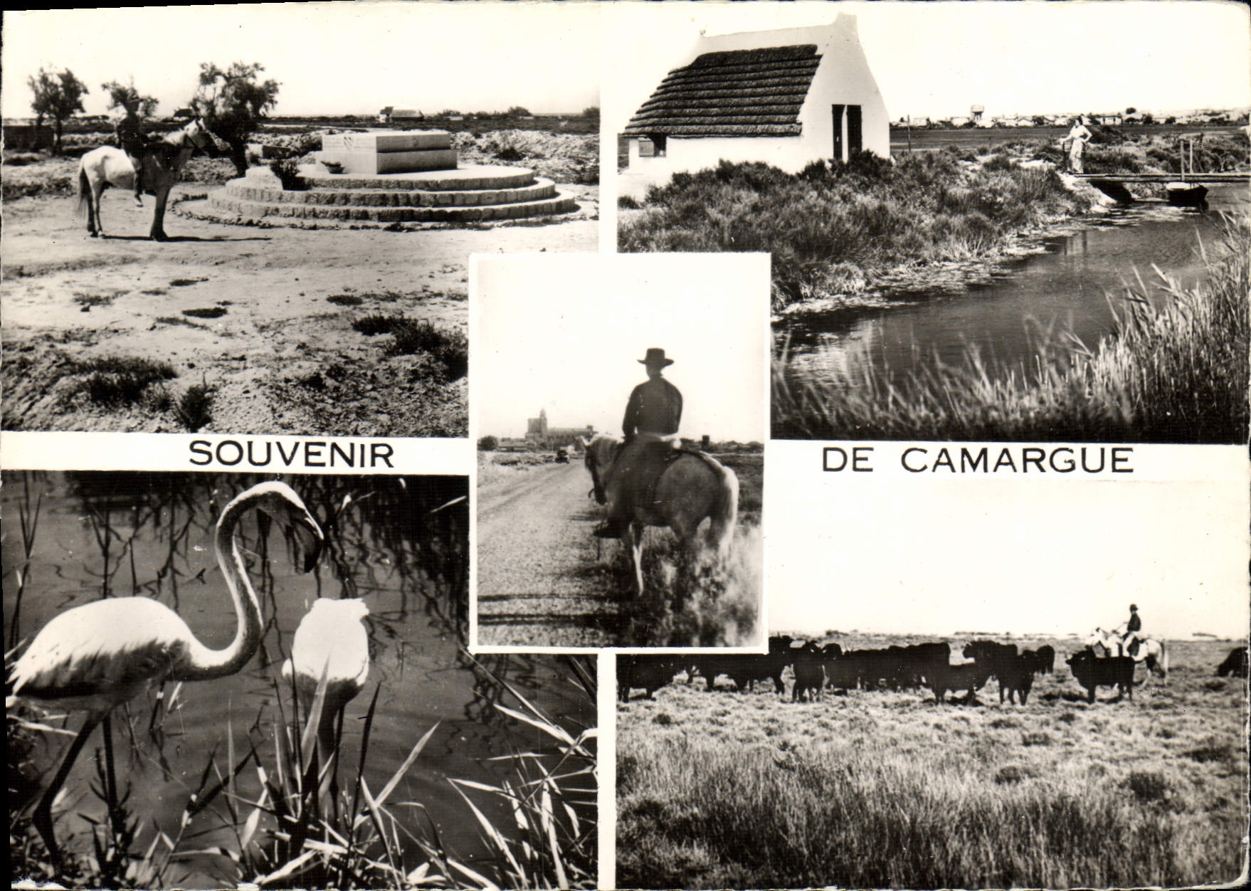 Camargue — Souvenir de Camargue — Éditions des Frères Lumière, Lyon
