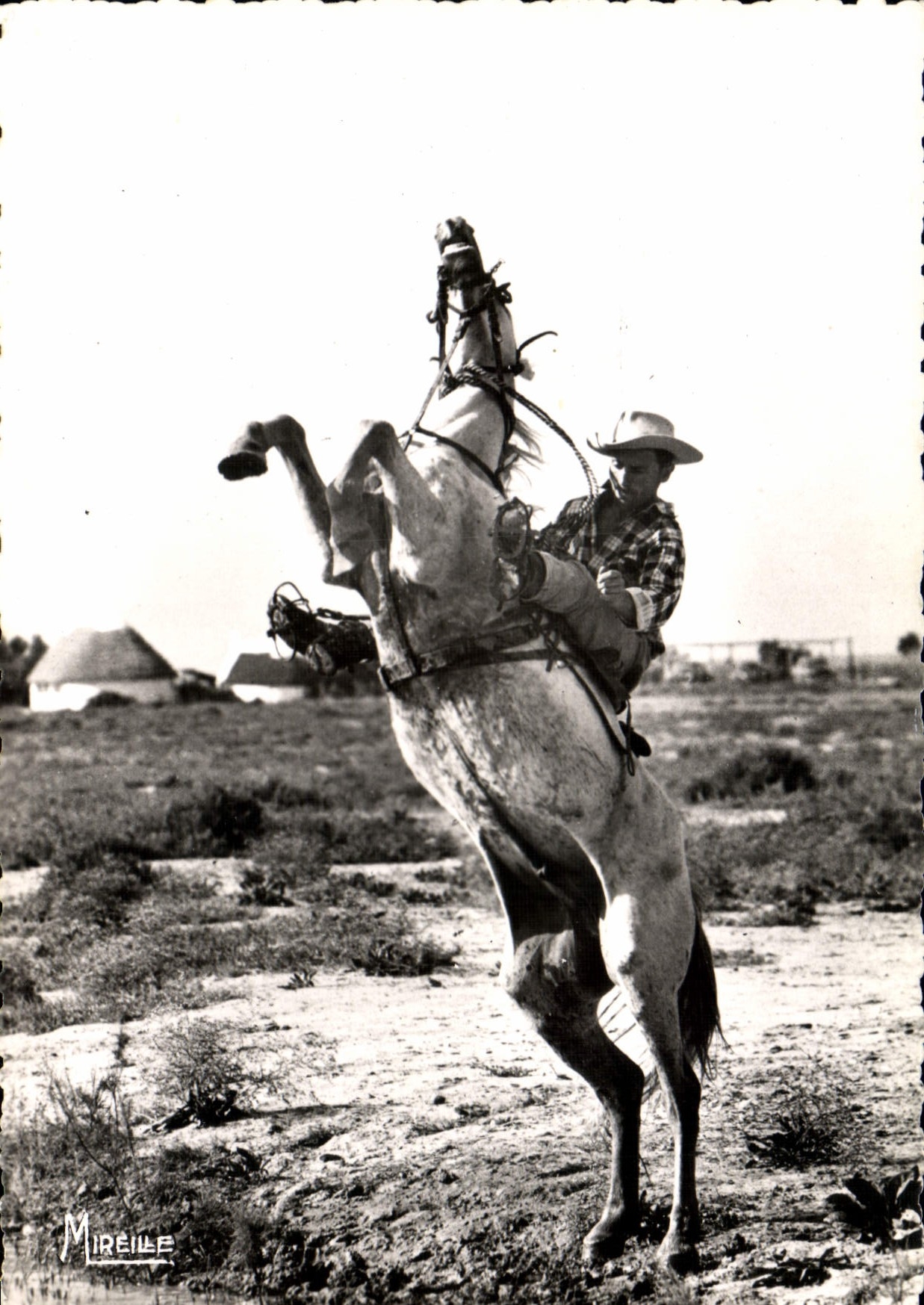 CPSM Camargue Avec Les Gardians